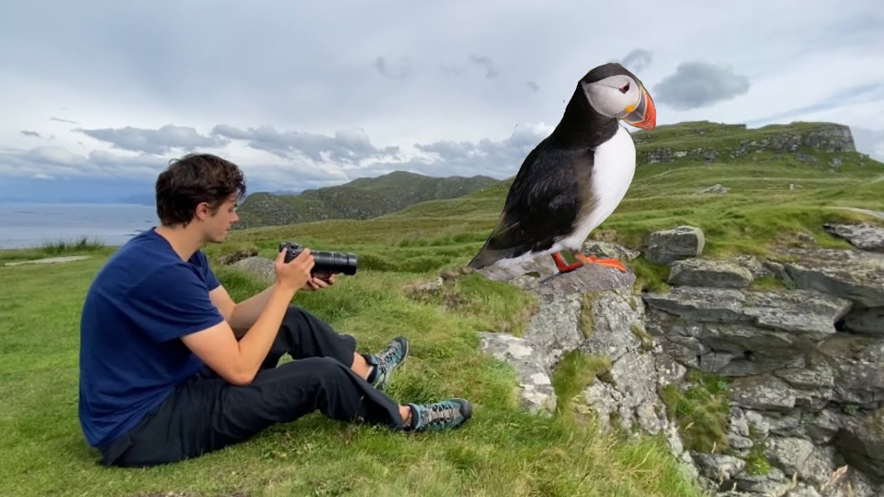 Exploring Runde - third largest bird mountain in Norway! Puffin & northern gannet++ | bark.on.wood
