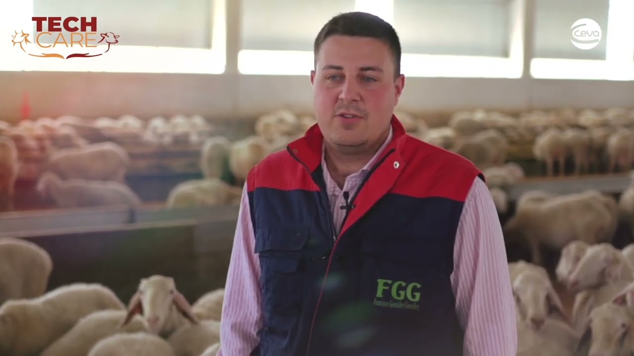 Farm F.G.G. Villafranca de Duero (Valladolid, Spain)