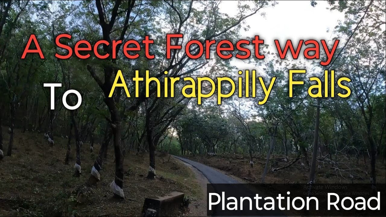 A Secret Forest Way To Athirappilly Falls