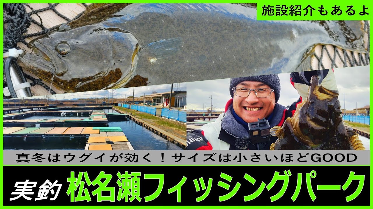 【松名瀬フィッシングパーク】冬の釣堀は小さめのウグイを使うのが吉！？釣った魚も捌いてもらえるぞ！