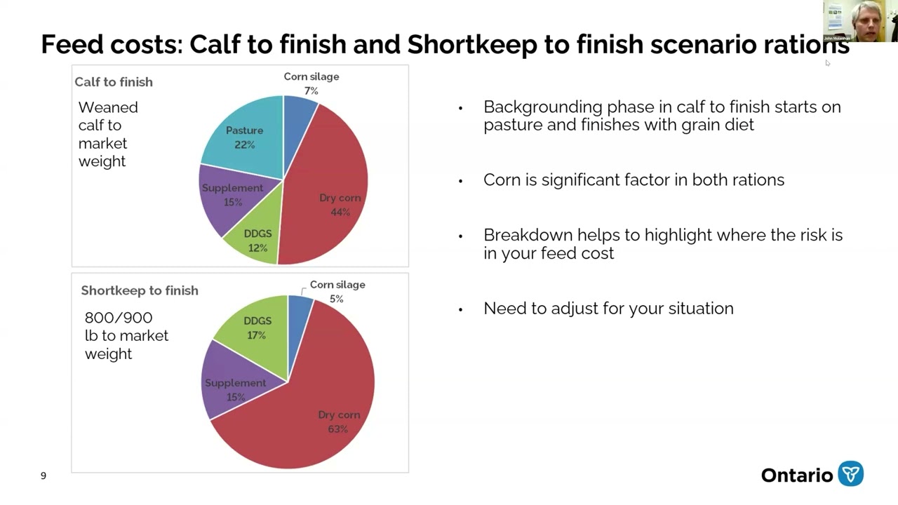 Cost of Production of Feeding Cattle - John Molenhuis