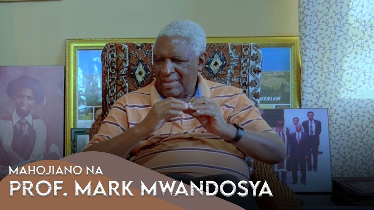 Mahojiano na Prof. Mark Mwandosya