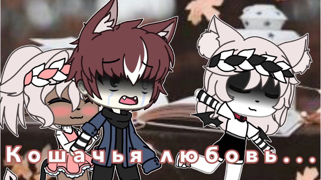 /Кошачья любовь\Мини-фильм 1/3🐱💕
