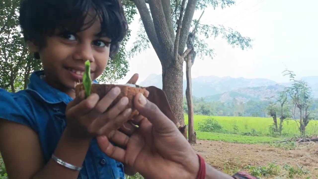 Village Farming Vlog 🌾 | Native Suthi Pathu Avarakkai Aruvadai #farming #farmer #vlog #villagelife
