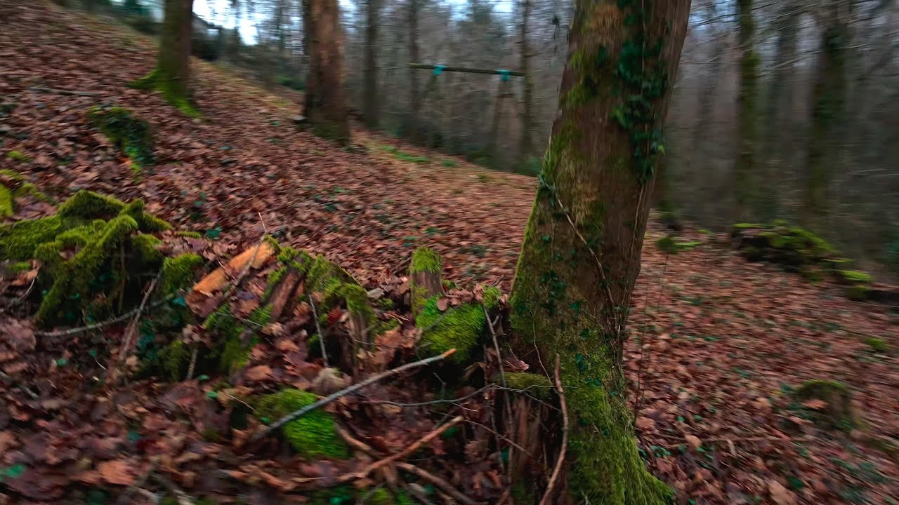 DJI neo 2 - Nice flying in FPV manual Mode