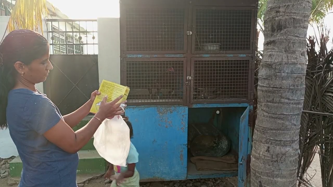 நாட்டுக்கோழி வளர்ப்பு! லாபமா?? நஷ்டமா??