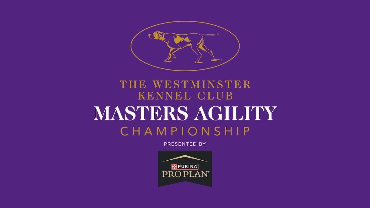 13th Masters Agility Championship | Preliminaries | Ring 2