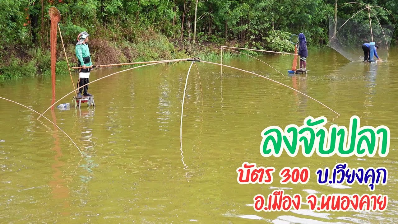 ลงจับปลาบัตร 300 บ.เวียงคุก อ.เมือง จ.หนองคาย