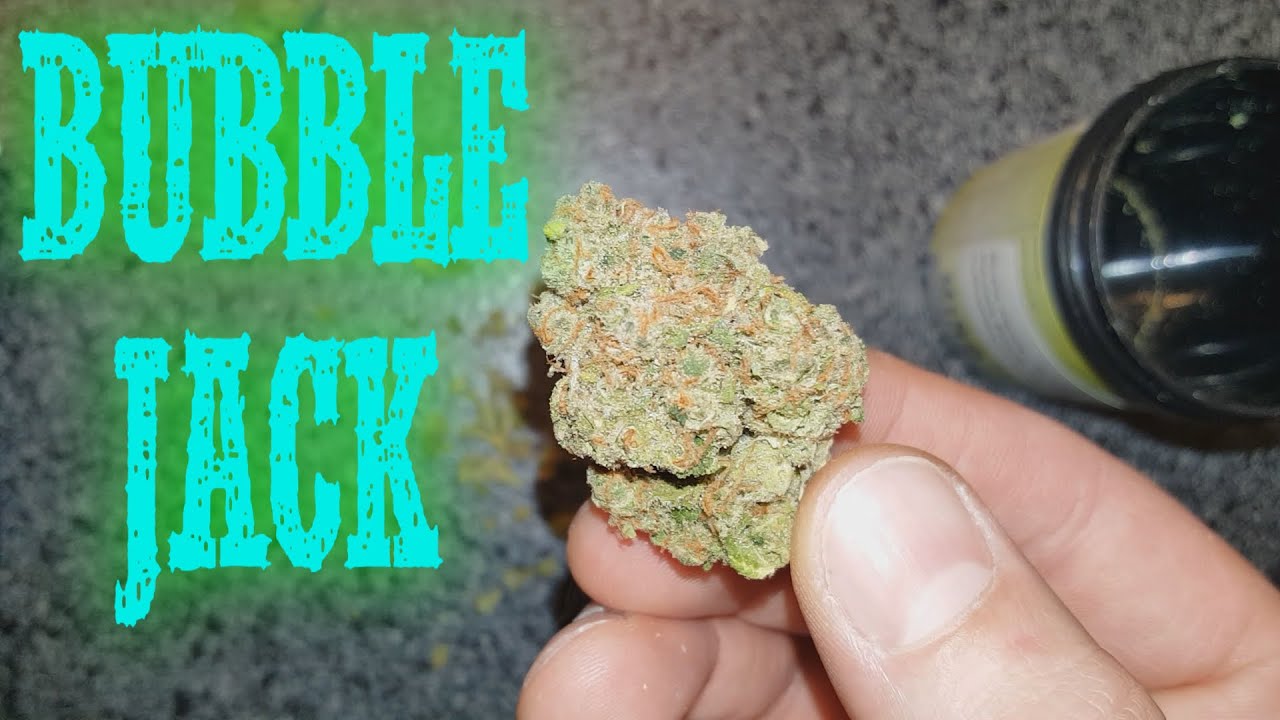 BUBBLE JACK - Close Ups + 420 Scope up to 100x Zoom!