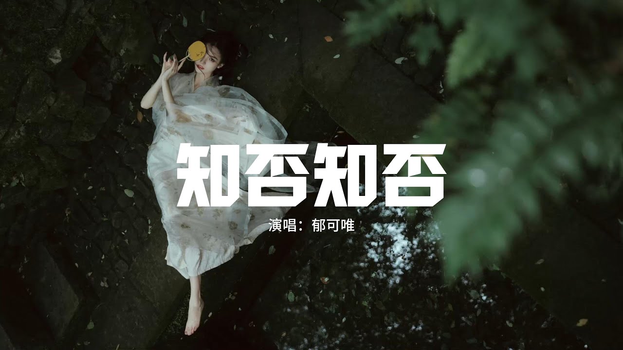 郁可唯 - 知否知否（女聲版）『昨夜雨疏風驟 濃睡不消殘酒，試問捲簾人 卻道海棠依舊。』【動態歌詞MV】
