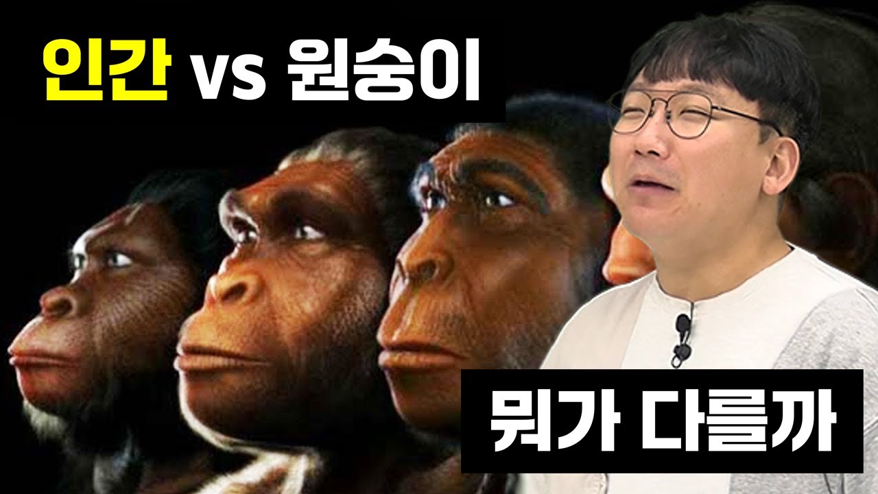 [인류 진화의 역사 1편] 영장류·원숭이·유인원의 진화 아는 척하기