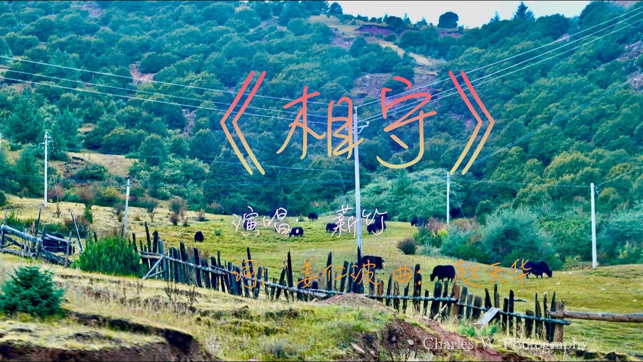 歌曲：《相守》演唱：薪竹