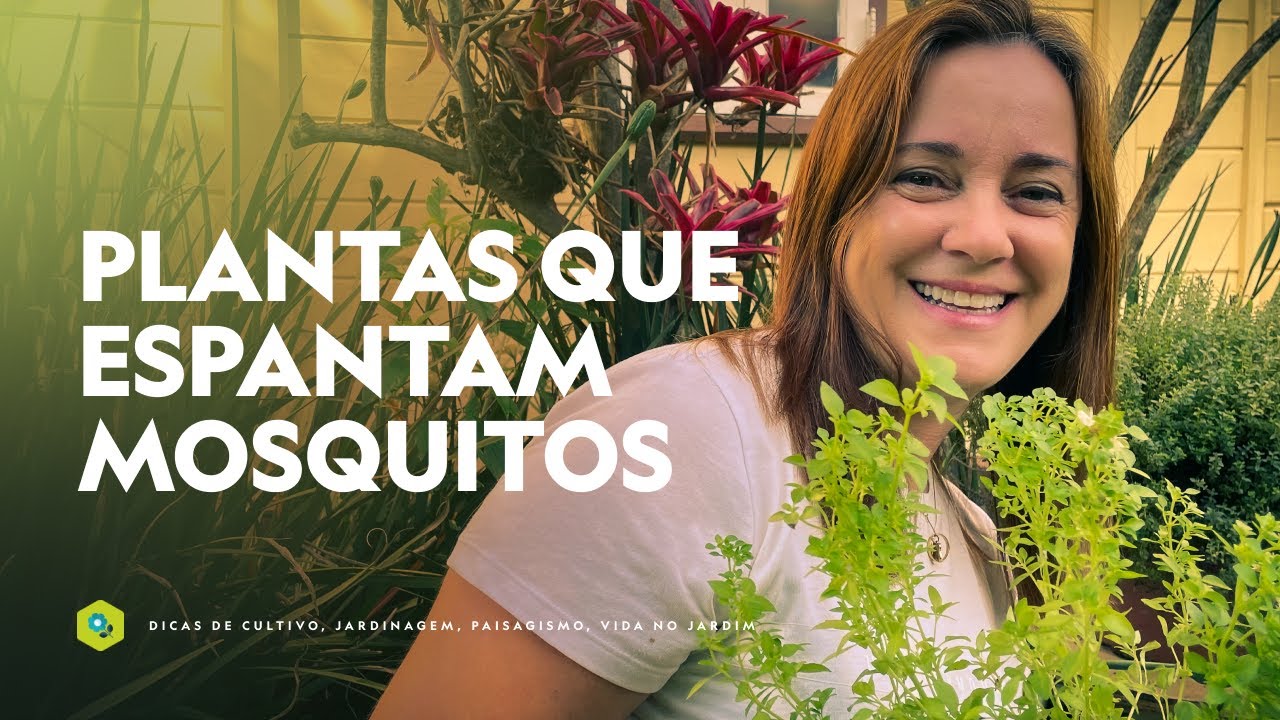 12 PLANTAS QUE ESPANTAM MOSQUITOS