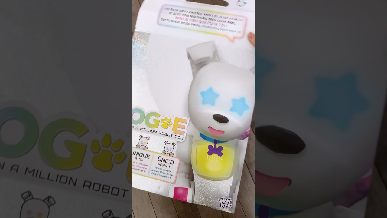 Unboxing a Surprise Dog-E: The Interactive Robot Dog with Lights, Sounds (Ages 6+) #unboxingvideo
