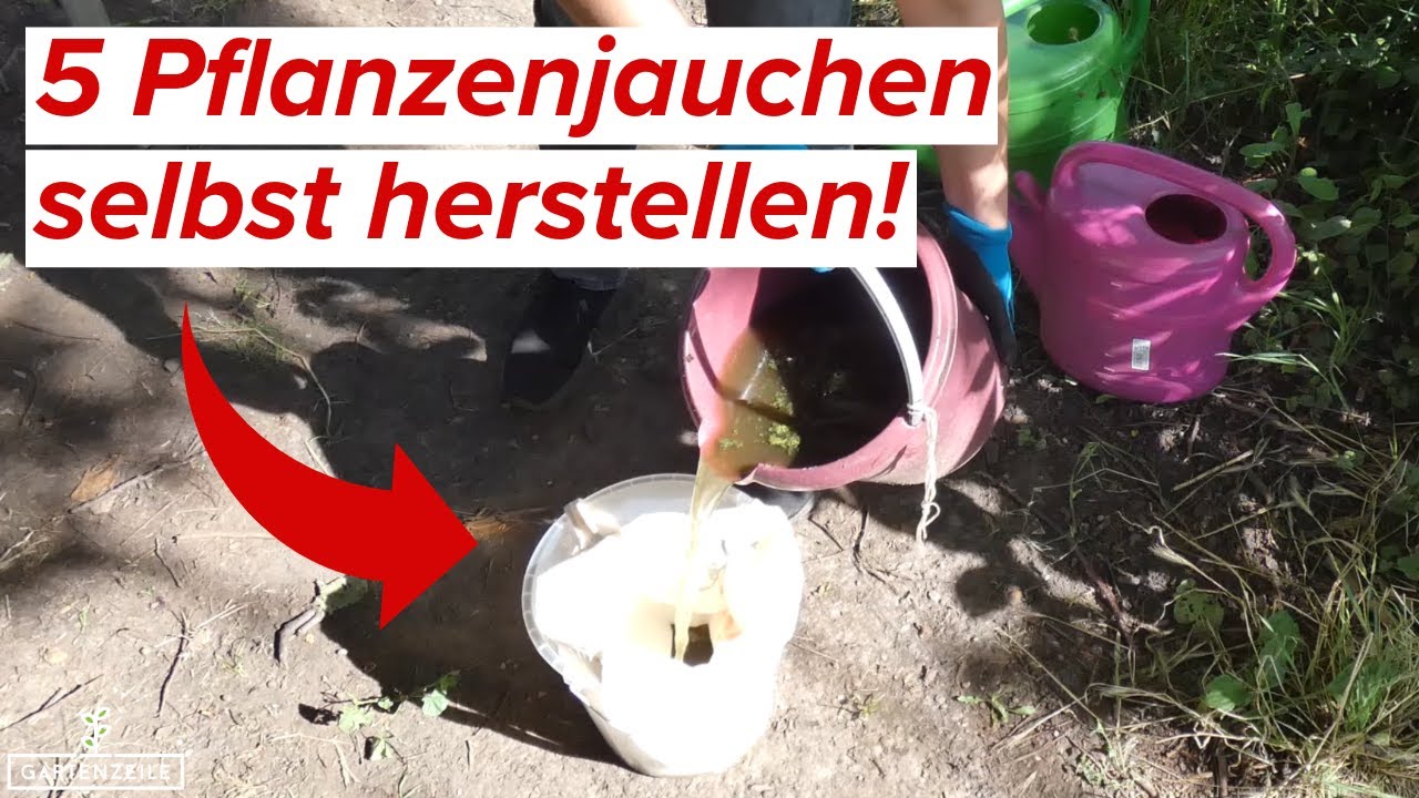 5 Pflanzenjauchen, die du kennen musst! So einfach kannst du sie selbst herstellen!