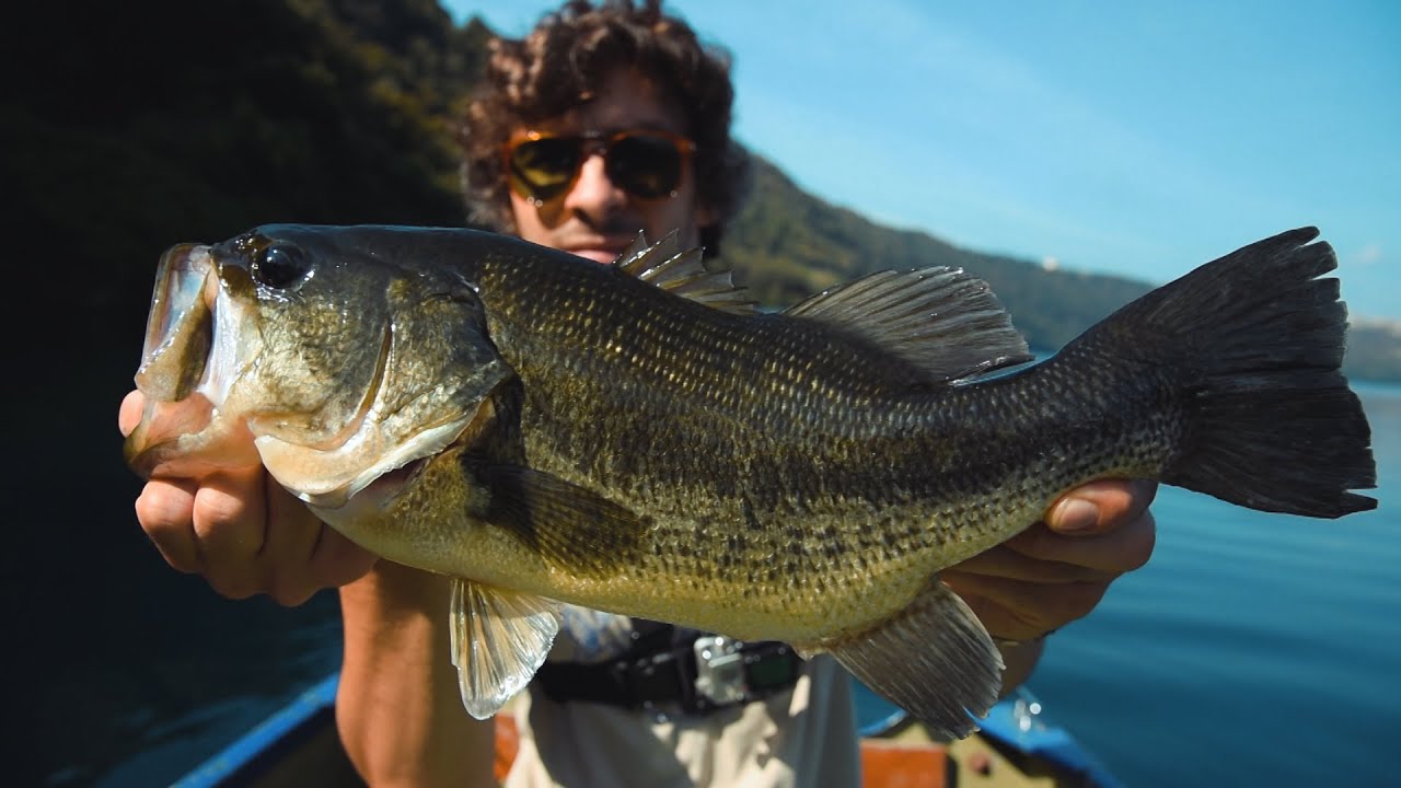 Match The Hatch - Bass vs Latterini