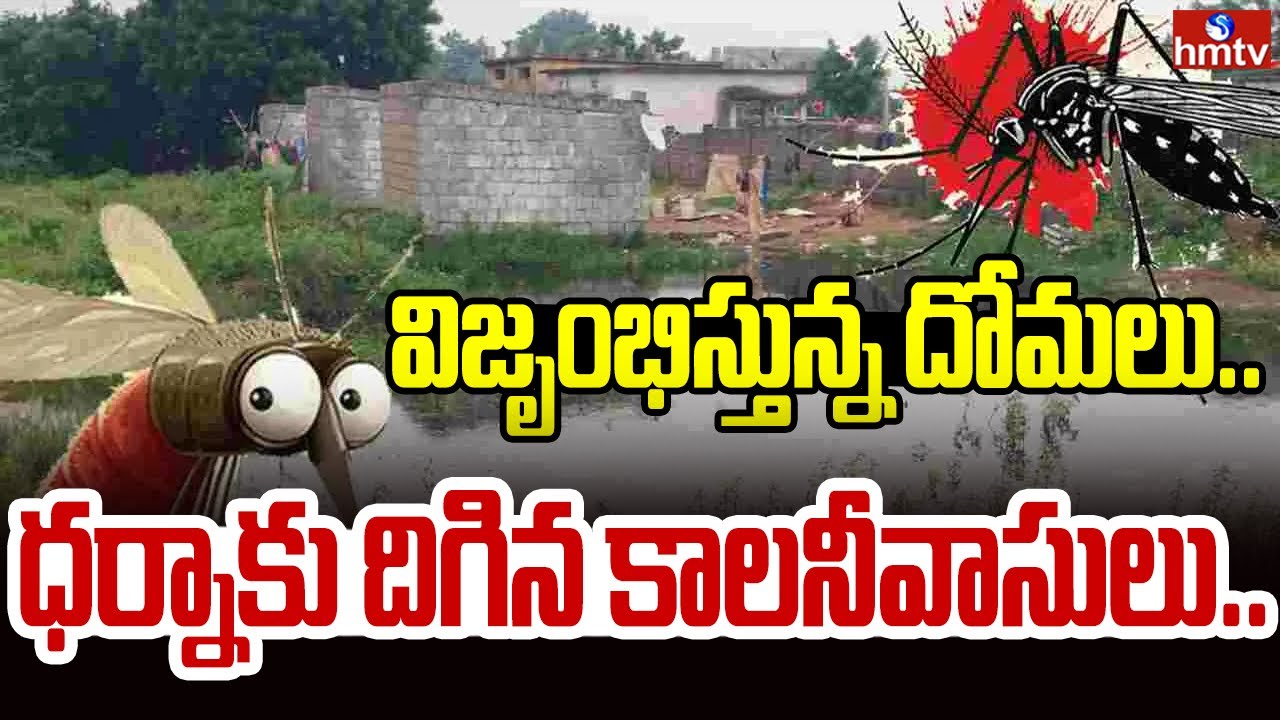 విజృంభిస్తున్న దోమలు… ధర్నాకు దిగిన కాలనీవాసులు..! | Uppal | Pakka Hyderabad | hmtv