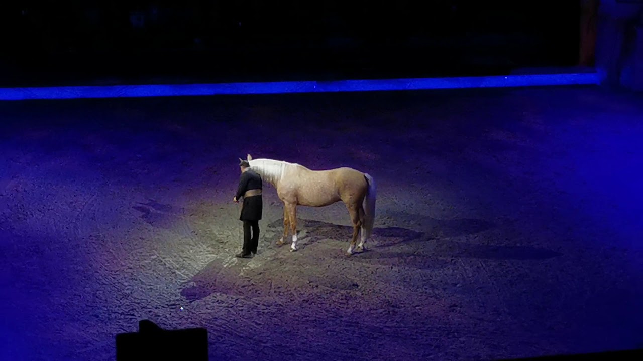 Cavalluna Legende der Wüste Teil 2