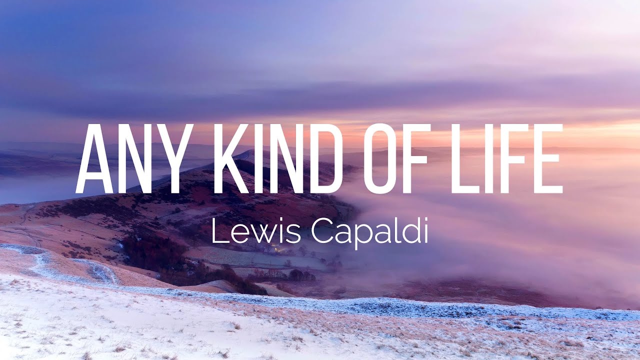 Lewis Capaldi - Any Kind Of Life (Lyrics)