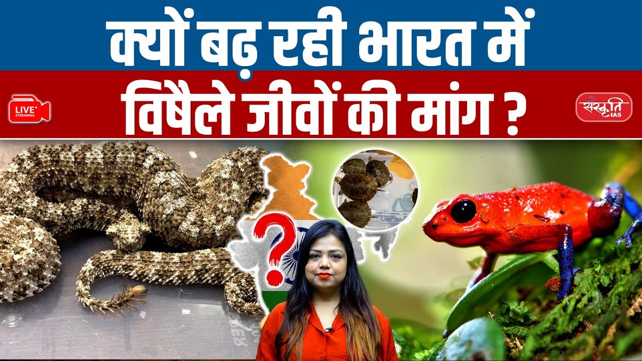 India: New Hotspot for Snake Smuggling? 47 Venomous Vipers Caught at Mumbai Airport! | Sanskriti IAS