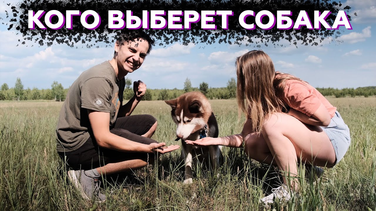 За кем ПОБЕЖИТ СОБАКА? | Эксперимент с собаками