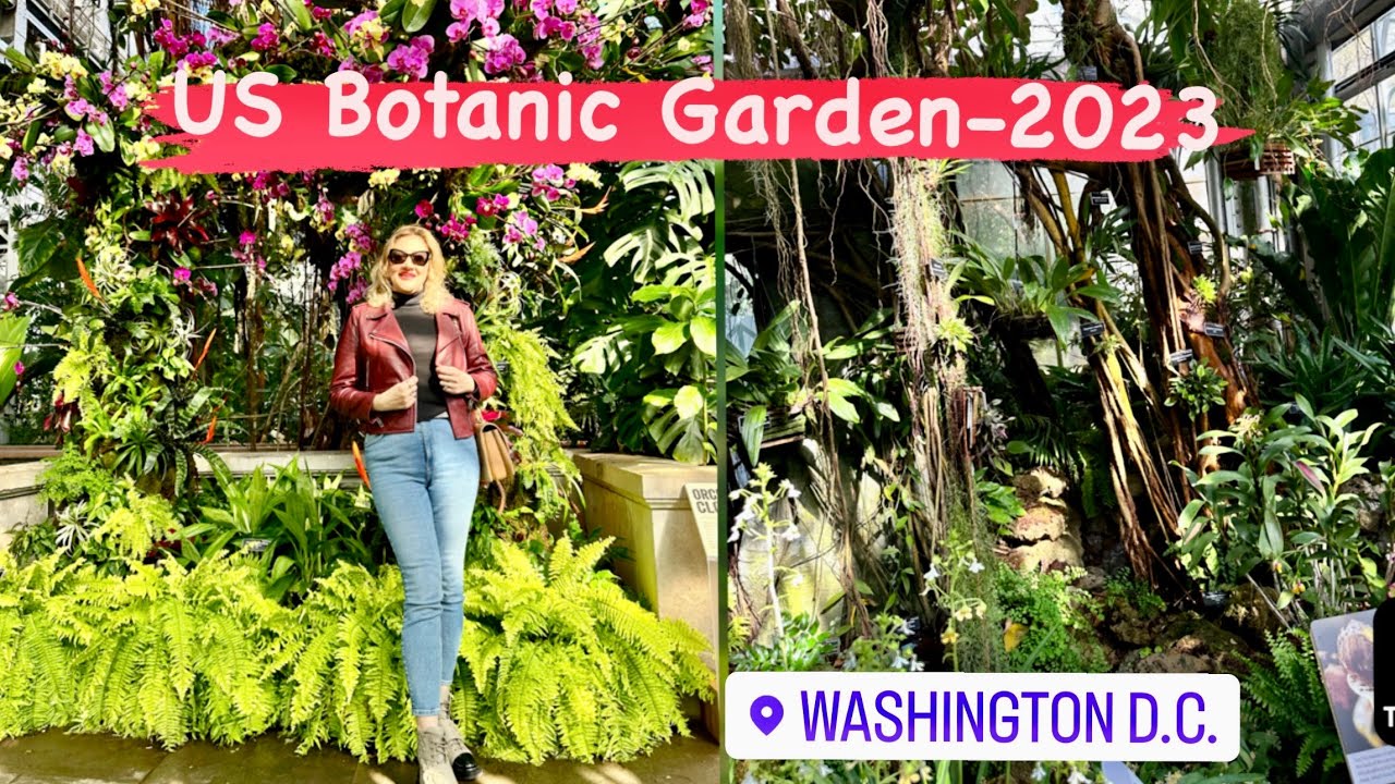 Visit to US Botanic Garden-2023| Amazing Place with a Great Variety of Plants and a Tropical Room