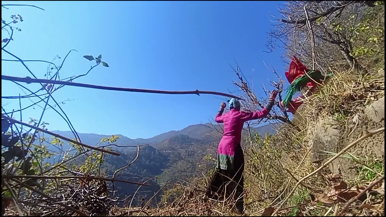 उत्तराखंड गढ़वाली में वीडियो आज का वीडियो पूरा गढ़वाली में