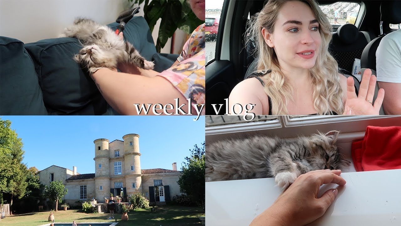 OUR NEW KITTEN! | Weekly Vlog #162