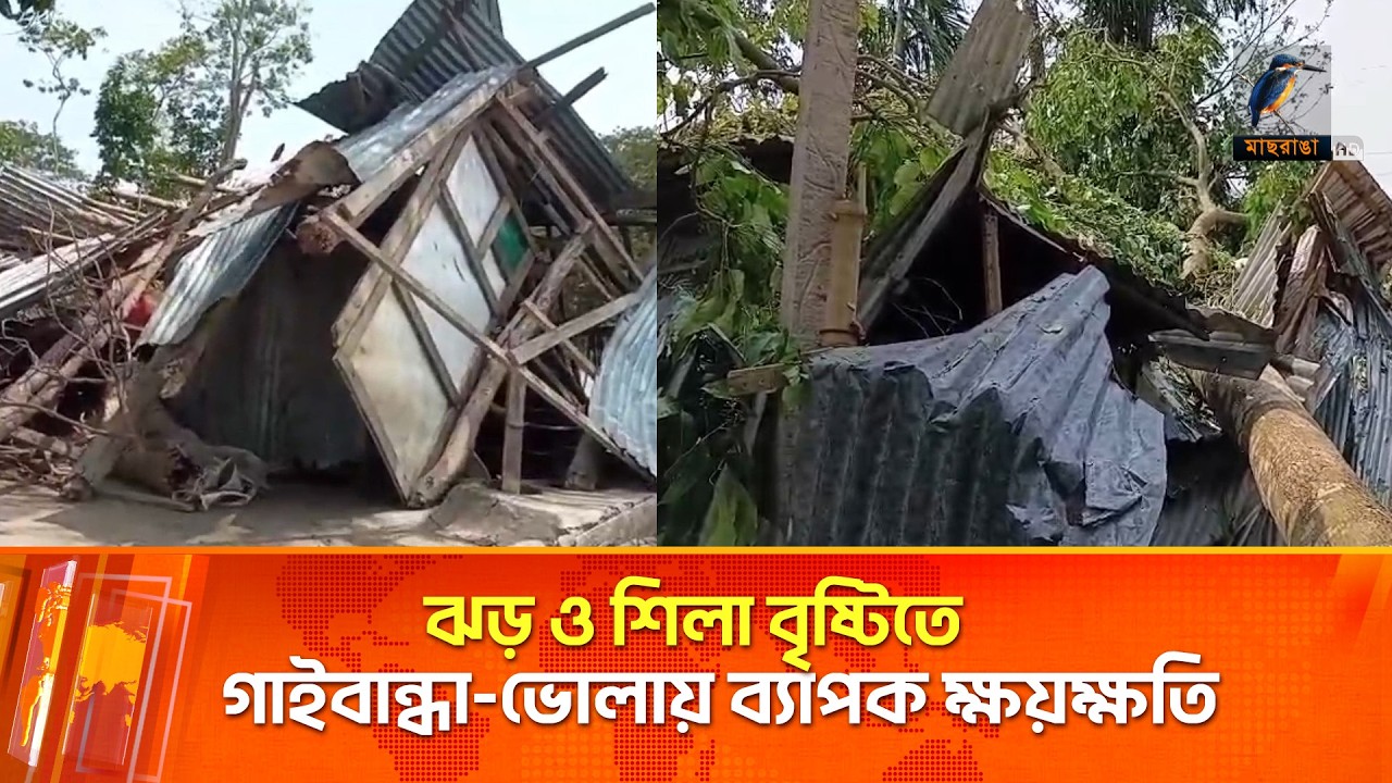 ঝড়-শিলা বৃষ্টিতে গাইবন্ধা এবং ভোলায় বাড়িঘরসহ ফসলের ক্ষয়ক্ষতি | Maasranga News