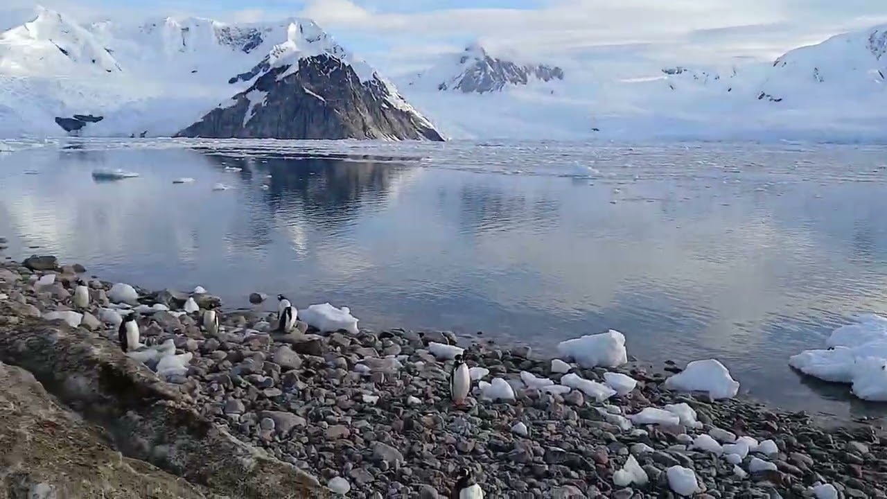 NECKO HARBOUR ANTARTICA 