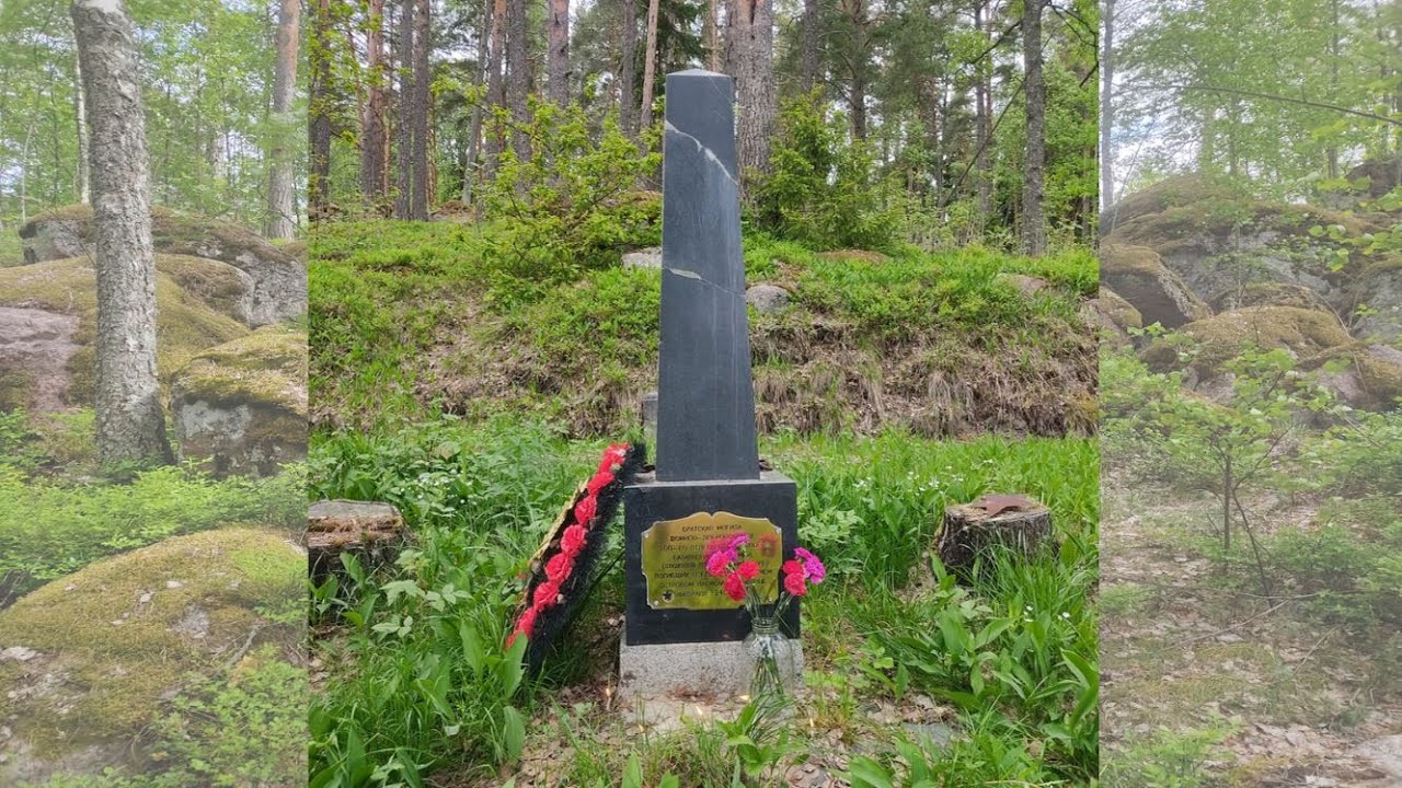 100-й лыжбат. Поход на Ласи-саари.