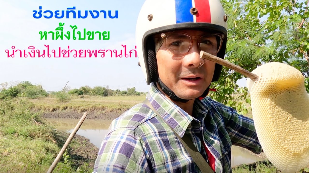 หาผึ้ง(มิ้ม)ขาย  รายได้ทั้งหมดมอบให้พรานไก่เพื่อเป็นค่าใช้จ่ายในการพักรักษาตัว จากอุบัติเหตุ  