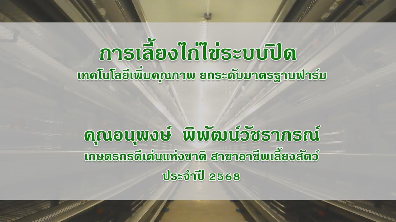 การเลี้ยงไก่ไข่ระบบปิด เทคโนโลยีเพิ่มคุณภาพ ยกระดับมาตรฐานฟาร์ม