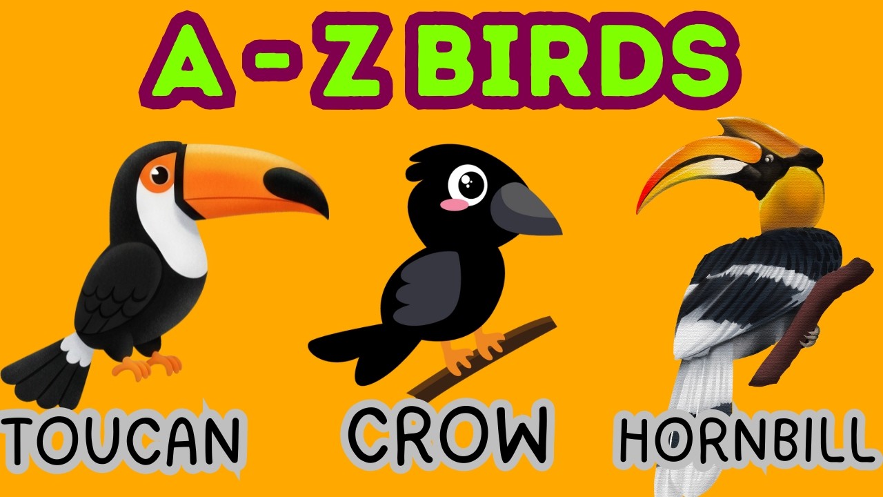 ABC Alphabet with Birds 🦜 | A to Z Bird Names Learning for Kids @XYZKIDSCLUB #kids #kidsvideo