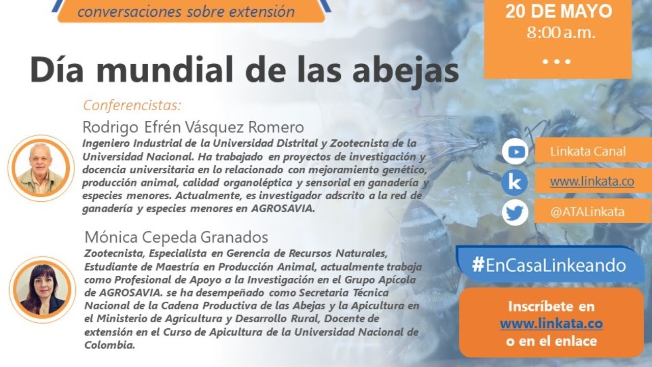 Conferencia | Día Mundial de las Abejas