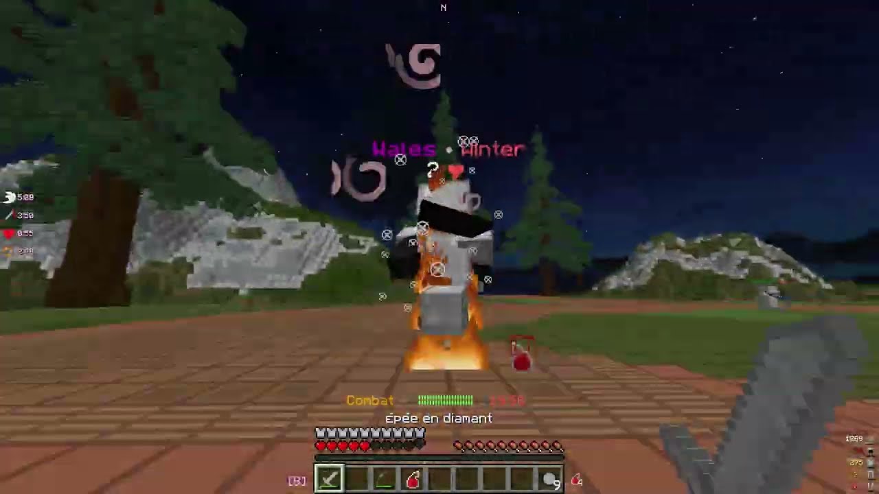 VinlandMC | Best Bow Player 👑