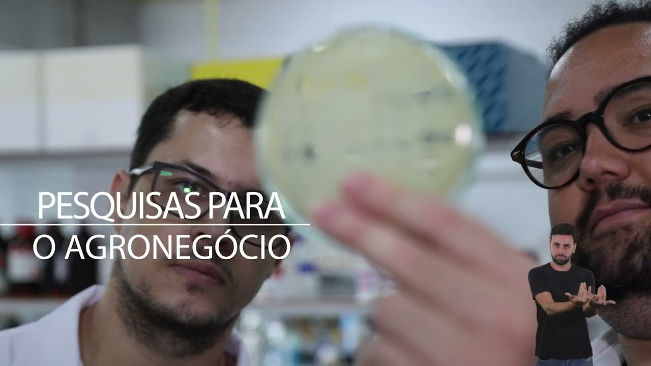 Programa de Pós-Graduação em Microbiologia Agrícola da UFV completa 50 anos