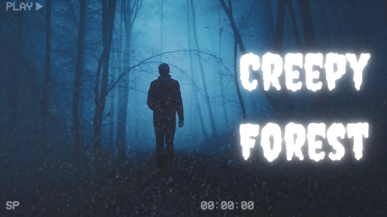 Creepy Forest | Creepy Ambient Horror Music [1 Hour]