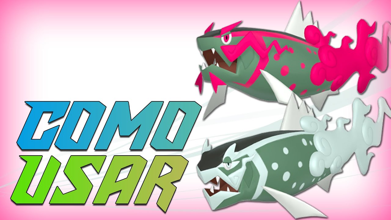 COMO USAR BASCULEGION! | Pokémon Scarlet & Violet Competitivo