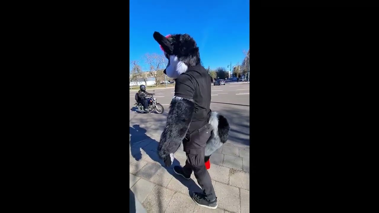 Kleiner furry spaziergang