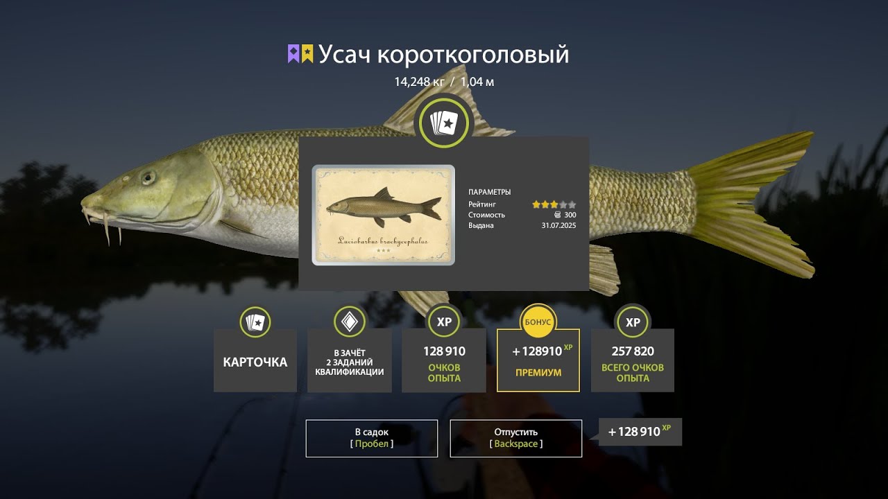 Усач Ахтуба, Сом ёкрный бабай и Налим Волхов. Стрим 4/10. Русская рыбалка 4. РР 4.