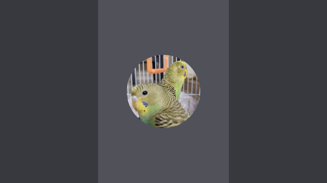 Mithran Meenuma is live!
