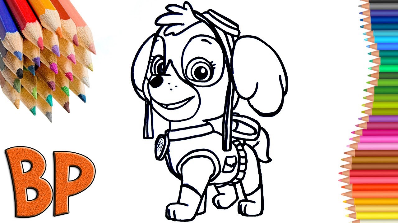 PAW Patrol Skye Coloring 🎨Скай щенячий патруль раскраска 🎨Coloring book How to draw🎨 Рисуй с нами 🎨