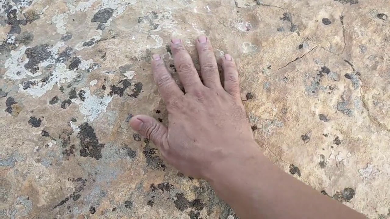صاحب الران كان ماكرا جدا ٠القناص البربري