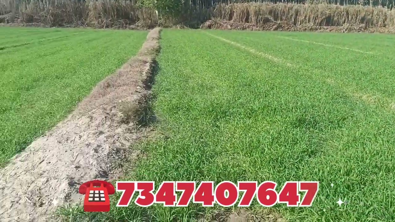 11 Acre land for sale 