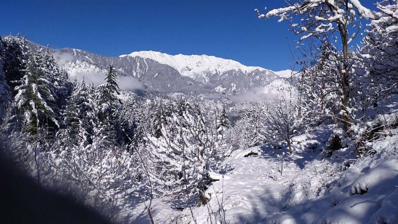 SnowFall Vlog||BEE BOX||first ever vlog||Himalayan bee man ❤️