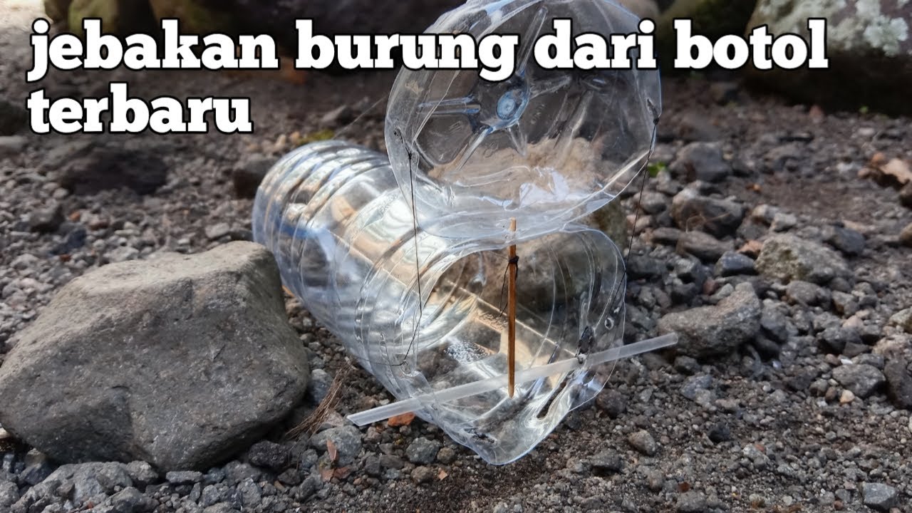 cara membuat jebakan burung dari botol bekas