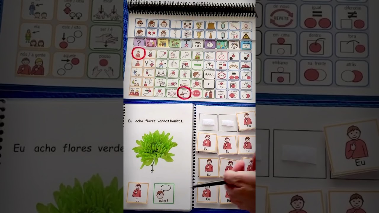 CAA - sistema robusto de baixa tecnologia - flip book Arasaac - Leitura compartilhada