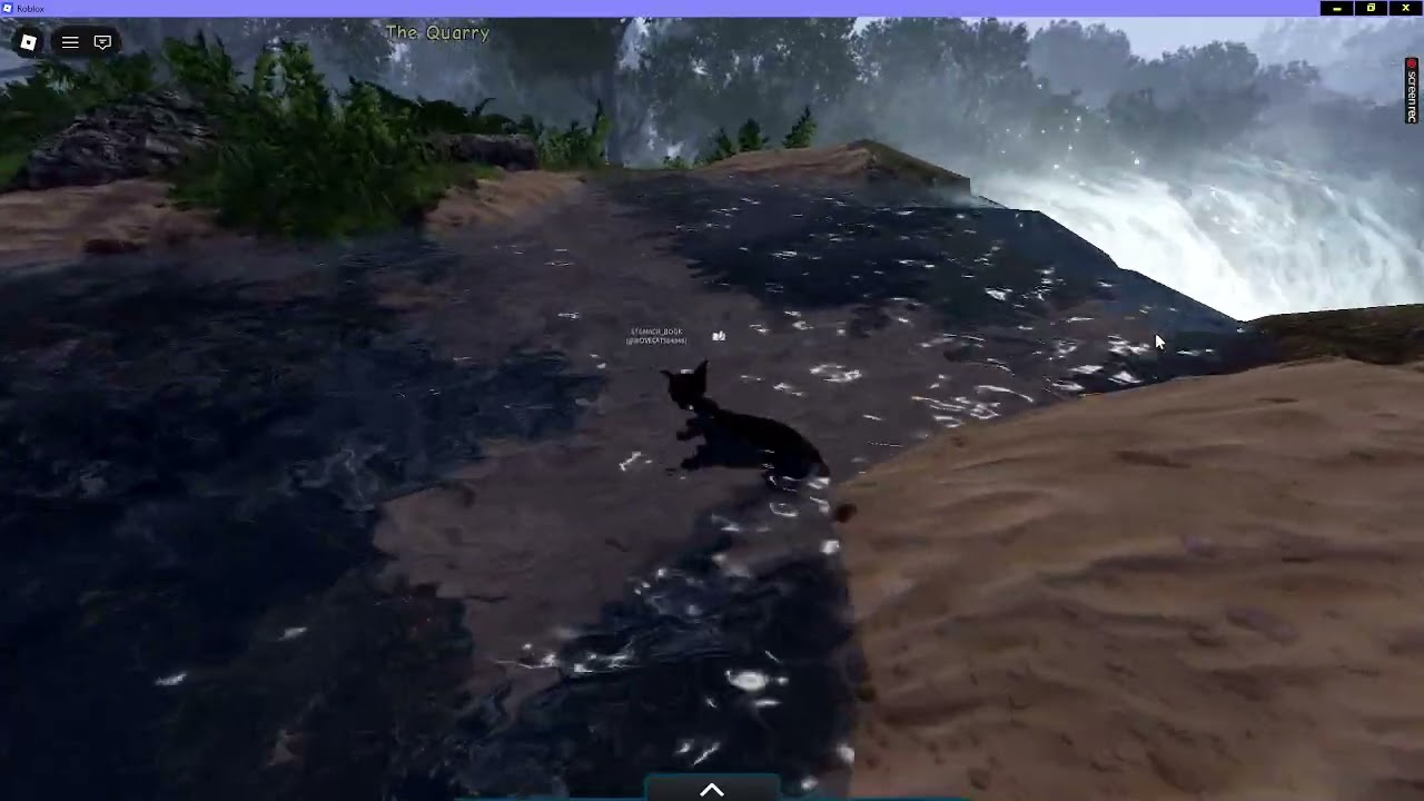 Exploring Warrior Cats: Lake Territory Pt. 2