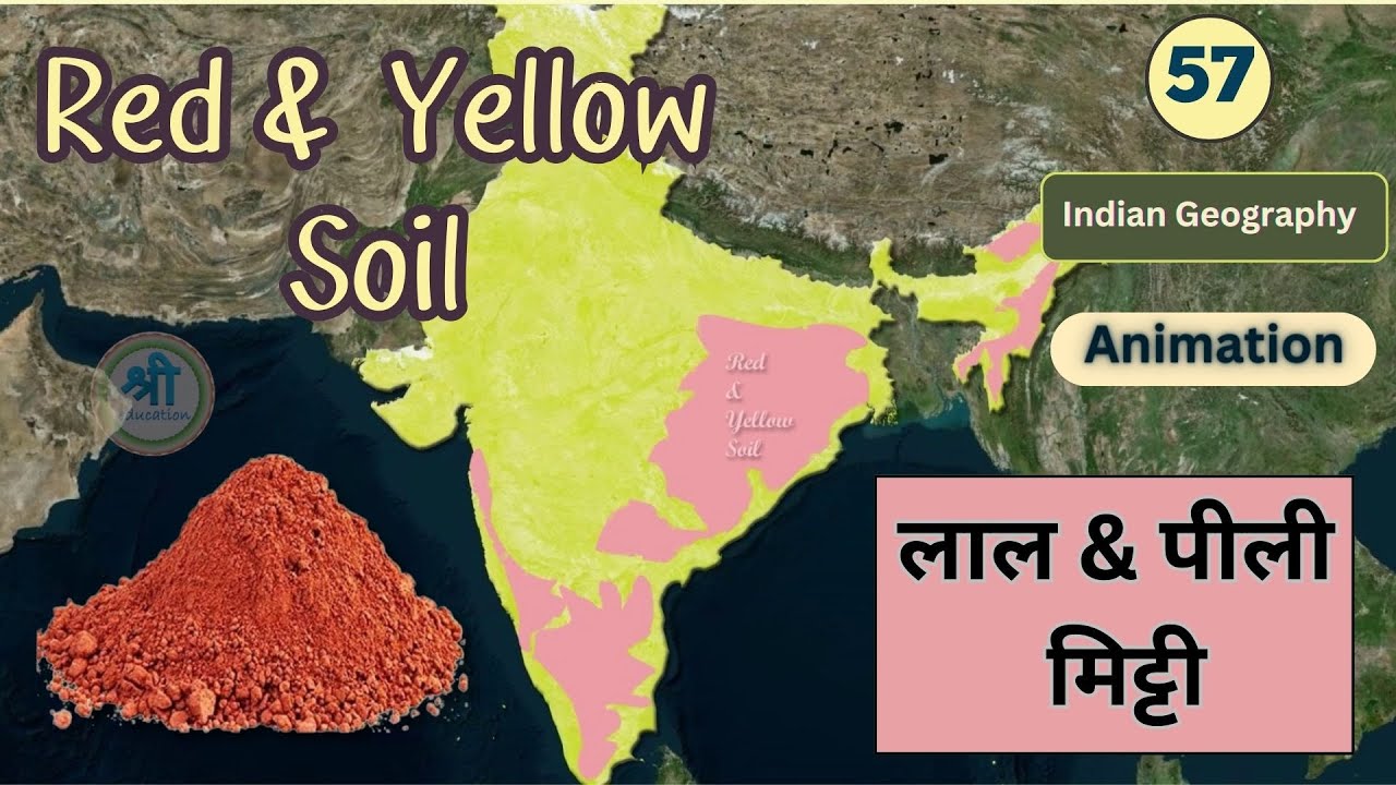 Red and Yellow Soil  Animation | Indian Geography 3D Animation by Ravi Yadav (MNNIT Alumni)